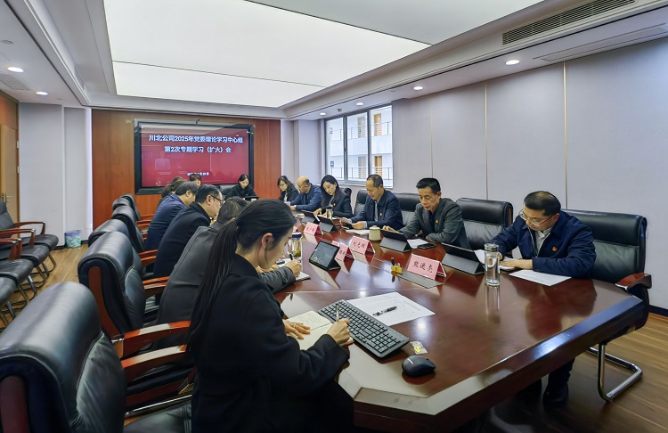 川高公司黨委副書記、董事趙夢(mèng)婕赴川北公司列席旁聽2025年黨委理論學(xué)習(xí)中心組第2次專題學(xué)習(xí)（擴(kuò)大）會(huì)議（小.jpg